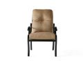 Volare Cushion Dining Armchair